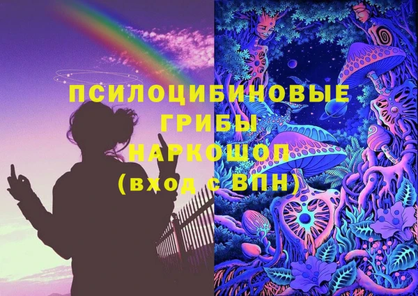 молекула духа Алексин