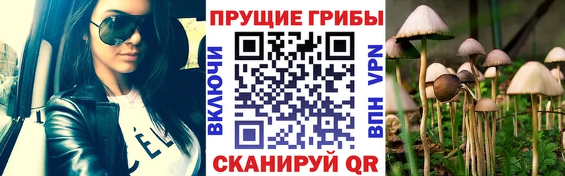 Галлюциногенные грибы прущие грибы  Тосно 